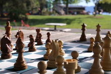 Load image into Gallery viewer, Timeless Flex Chess Set
